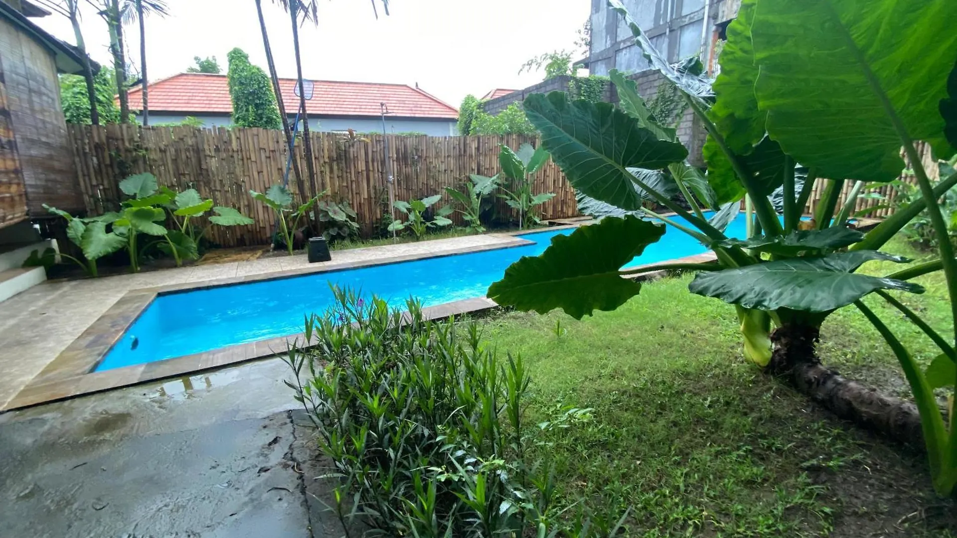 Hostel Two Brothers Guesthouse Legian