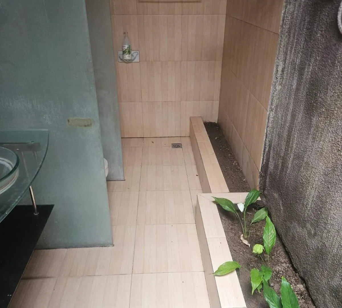 Hostel Two Brothers Guesthouse Legian  Indonesia